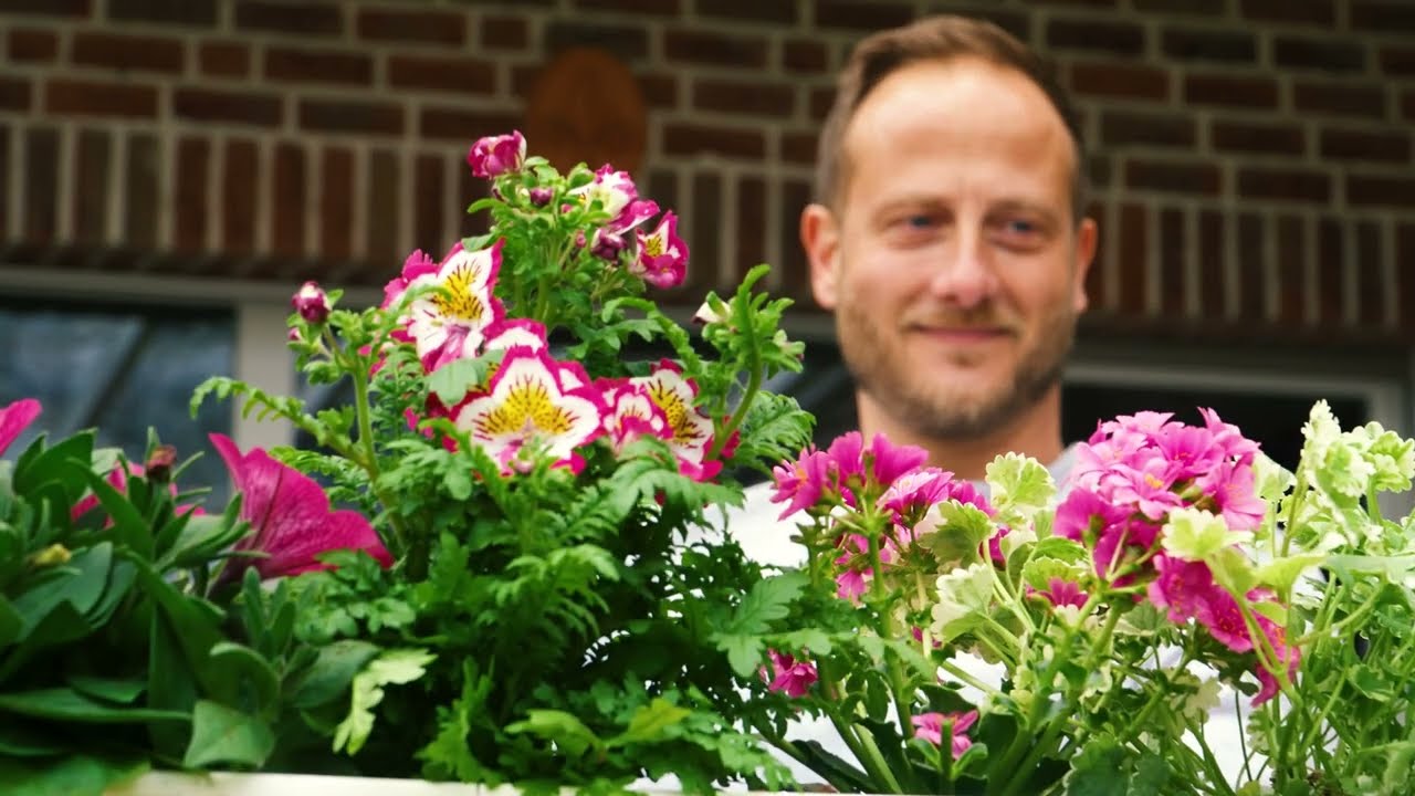 Vorschaubild: Blumenverkauf Buddes Hof